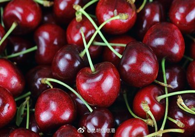 昆明信息港