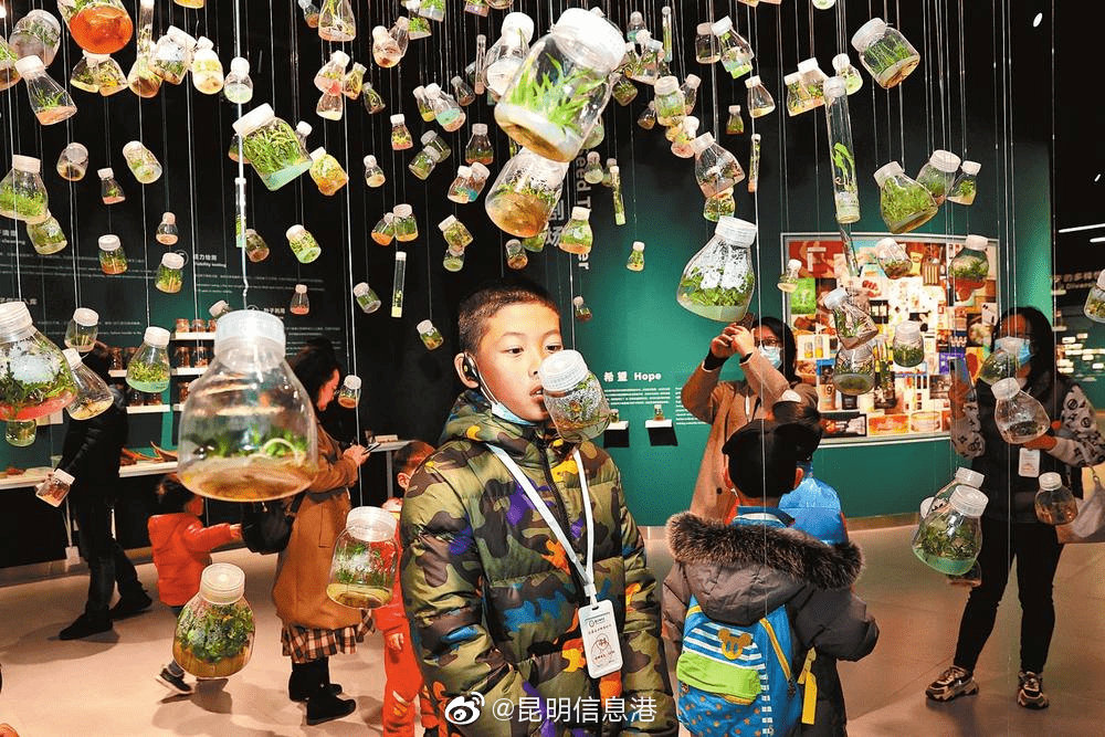 昆明信息港