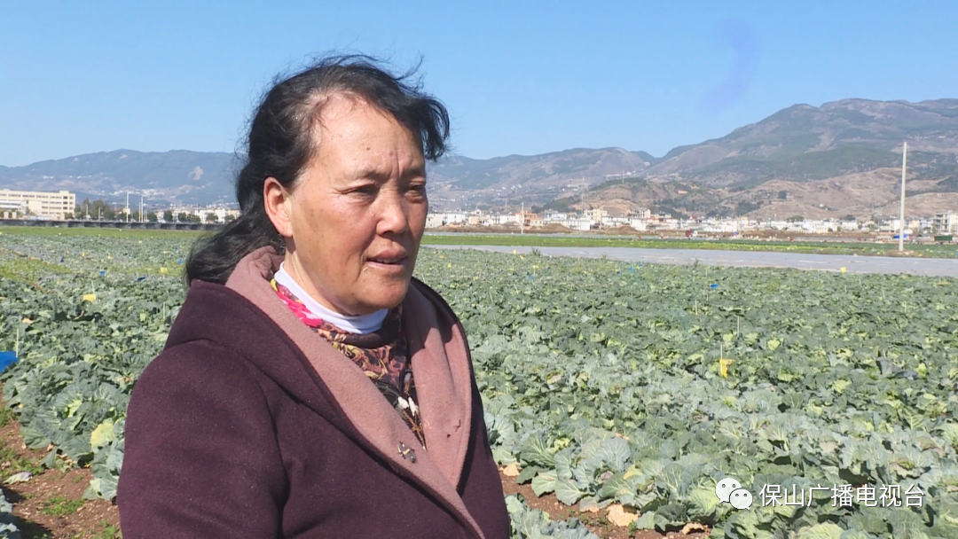 保山广播电视台