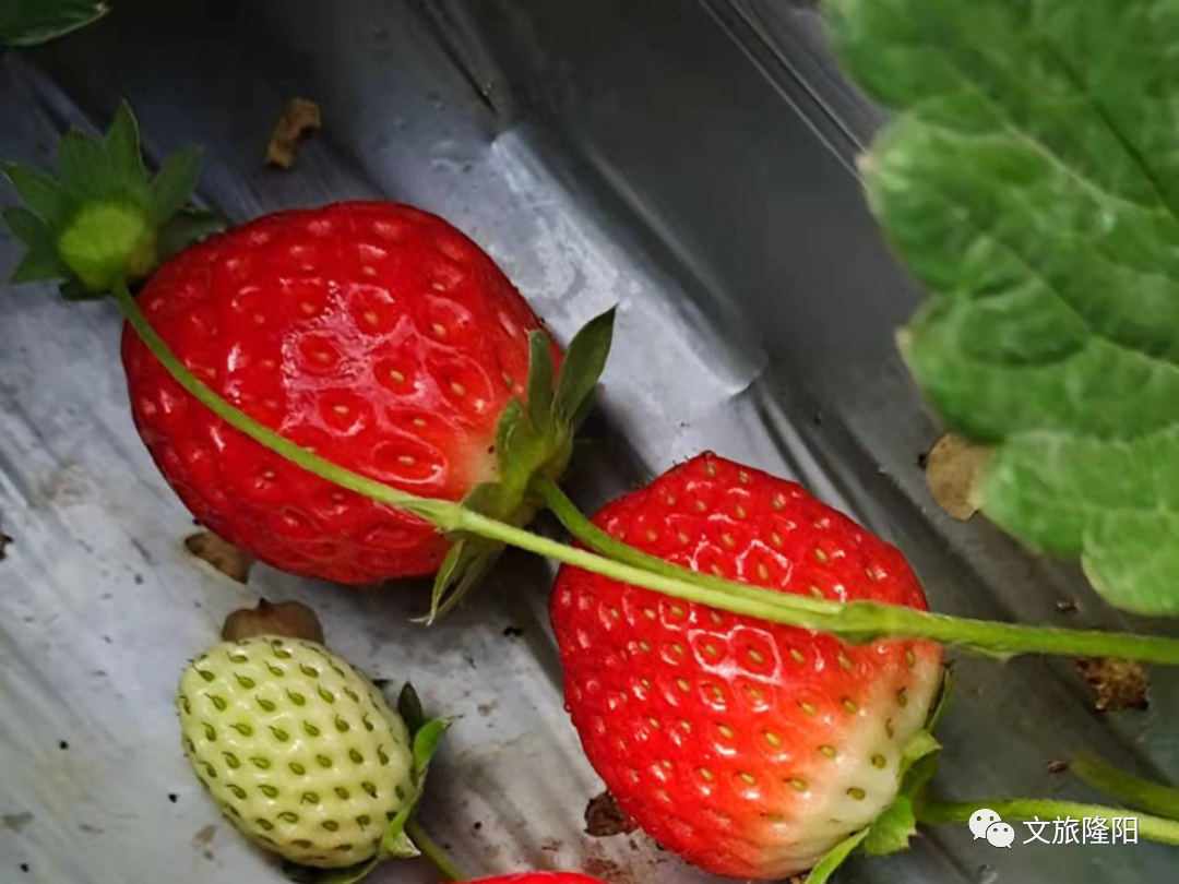 保山新闻网