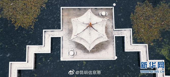 昆明信息港
