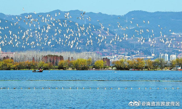 “滇池旅游度假区”微博