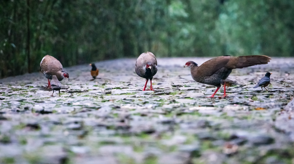 玉溪发布