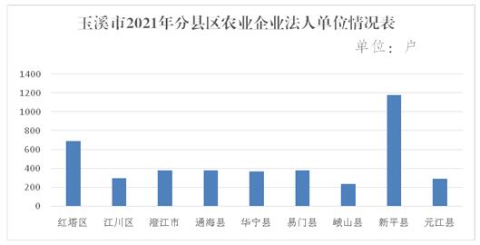 玉溪市人民政府