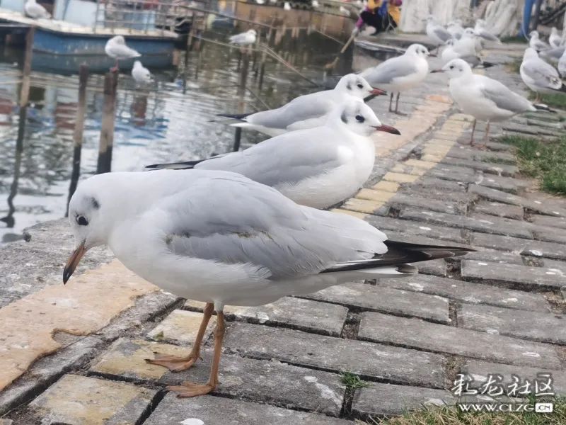 昆明滇池国家旅游度假区管理委员会(微信)