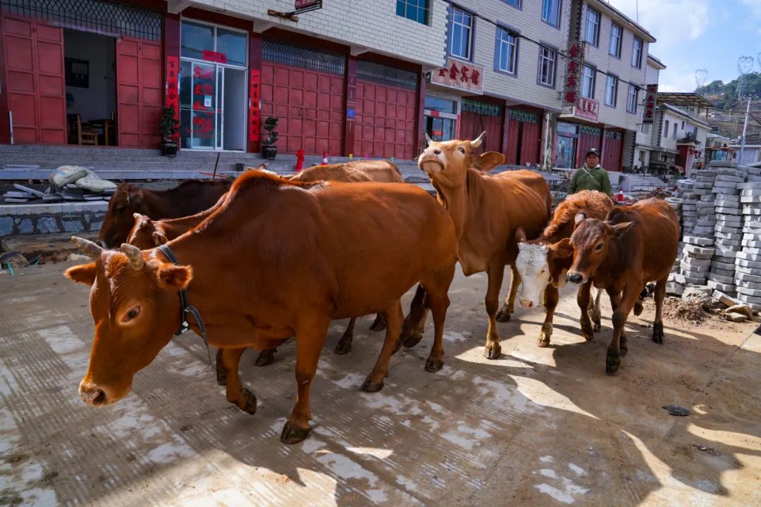 昆明铁路