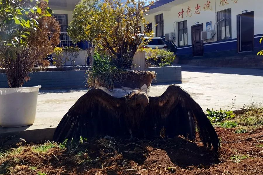 云南丽江警方
