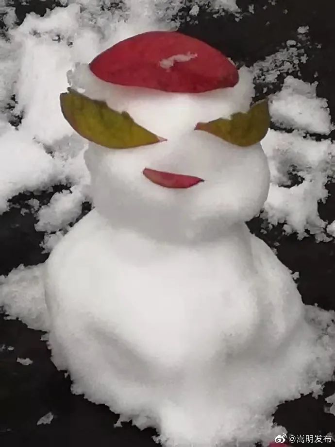 春城晚报