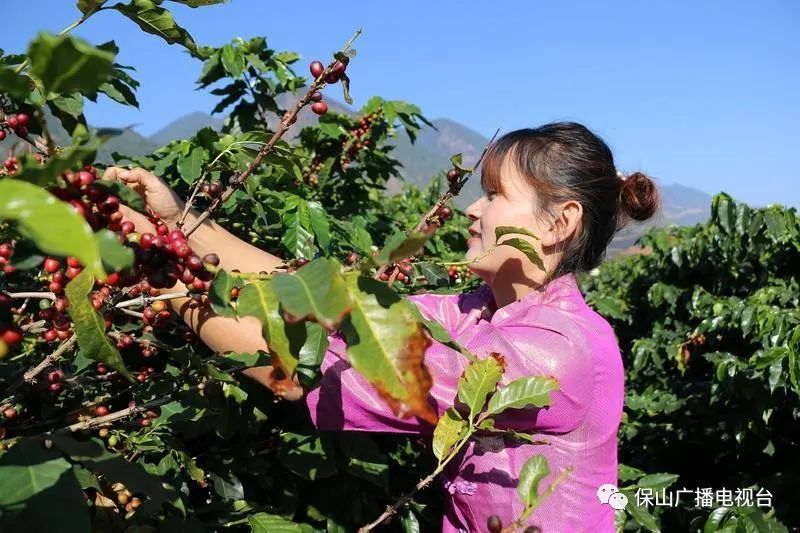 保山广播电视台