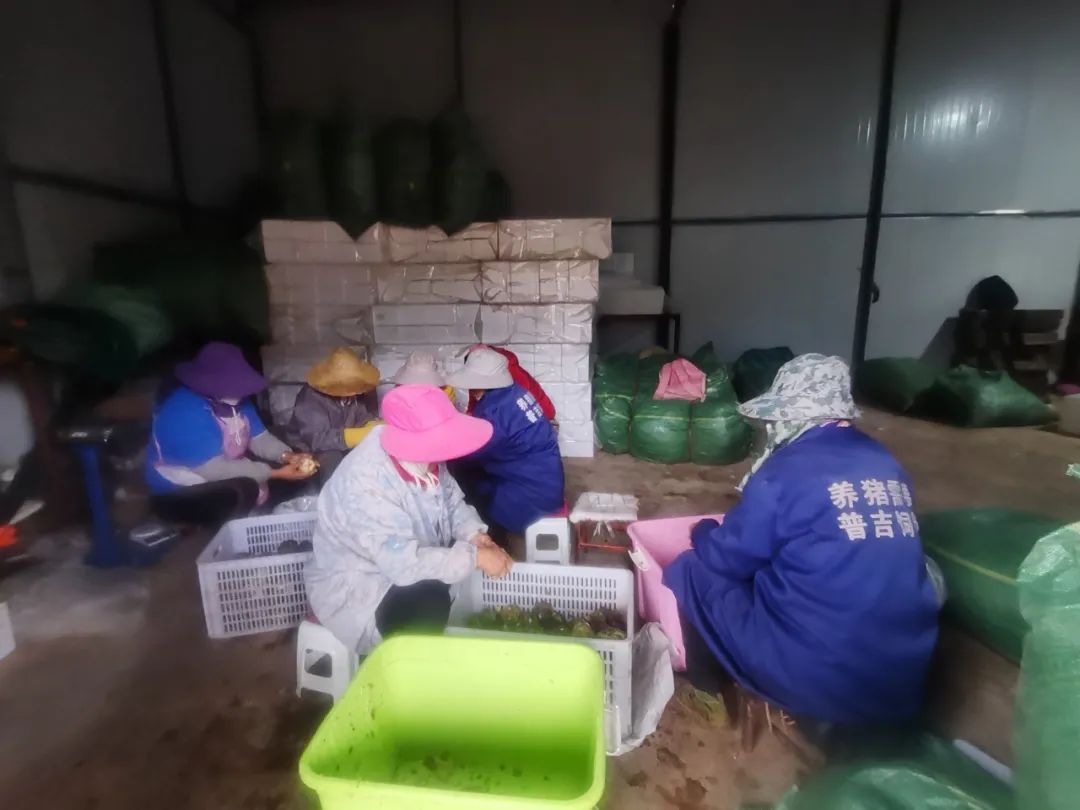 丽江日报