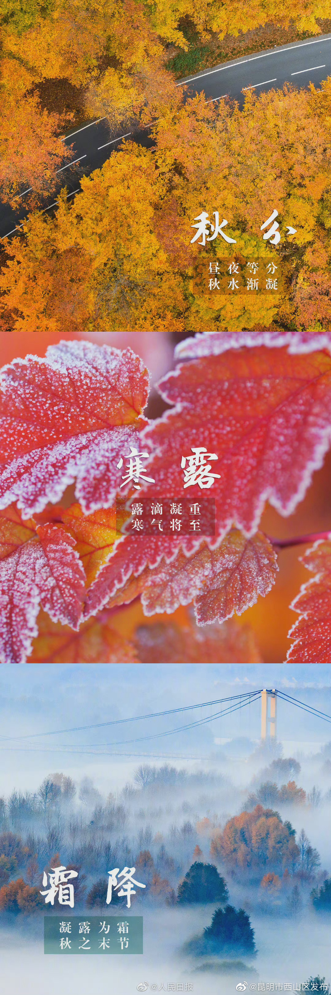 “昆明市西山区发布”微博