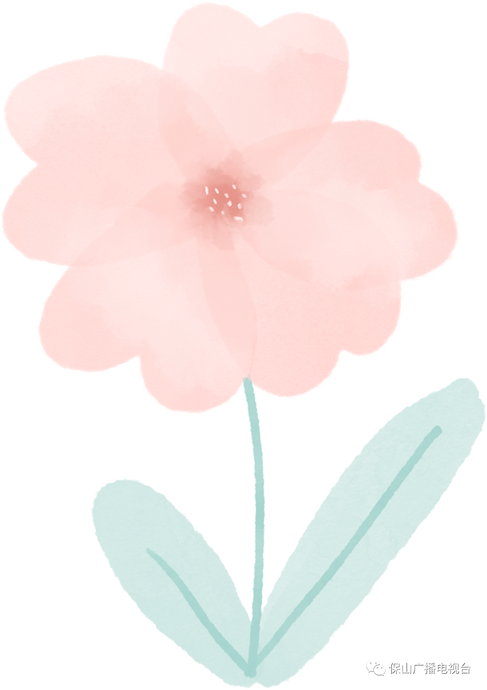 保山广播电视台