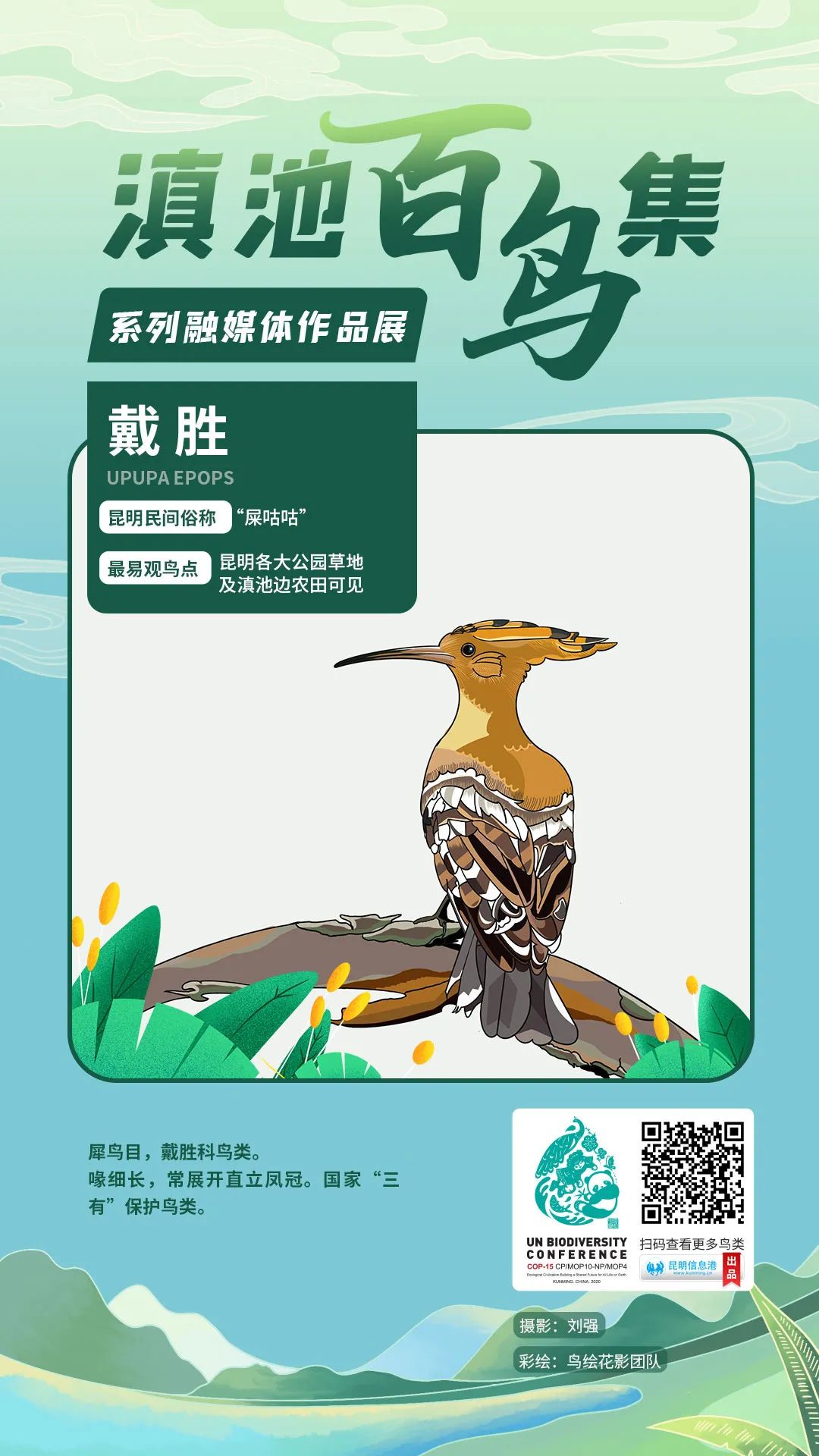 昆明信息港/cnkmxxg