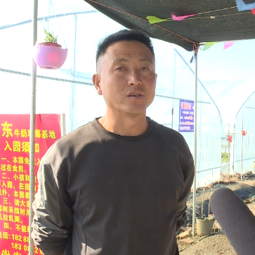 大理电视台