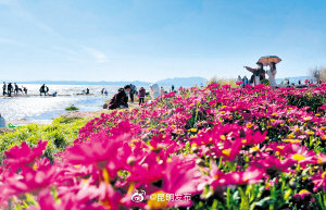 湿地踏青邂逅春天