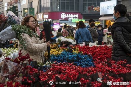呈贡发布
