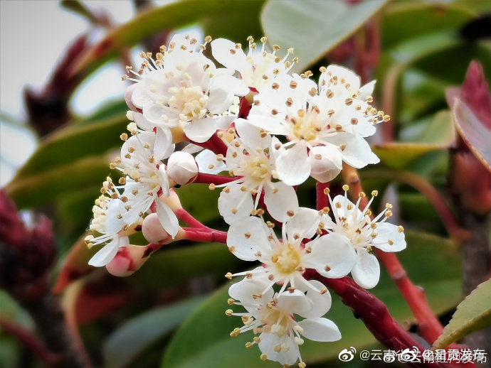 呈贡发布