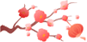 普洱市人民医院