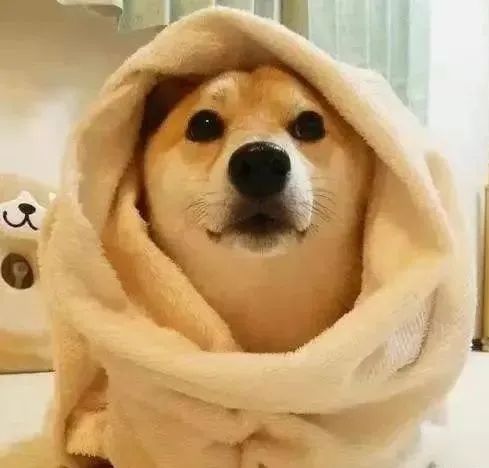 昭通日报