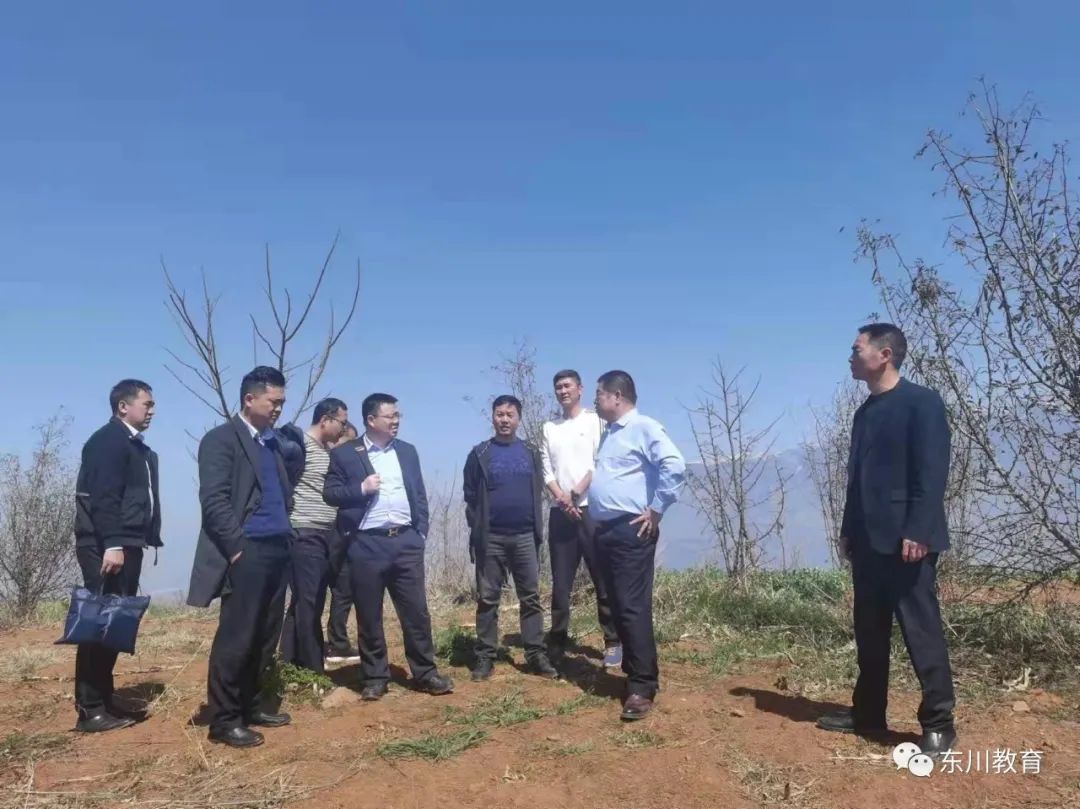 东川教育(微信)