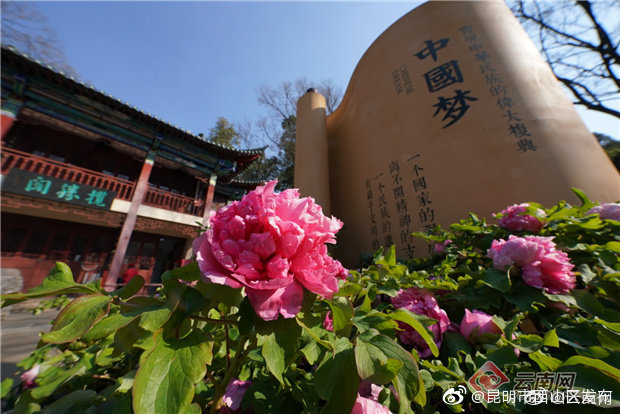 “昆明市西山区发布”微博