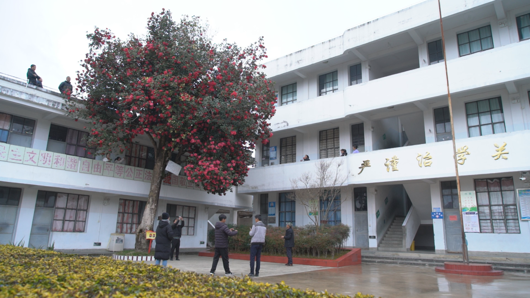 保山新闻网