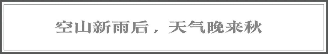丽江日报