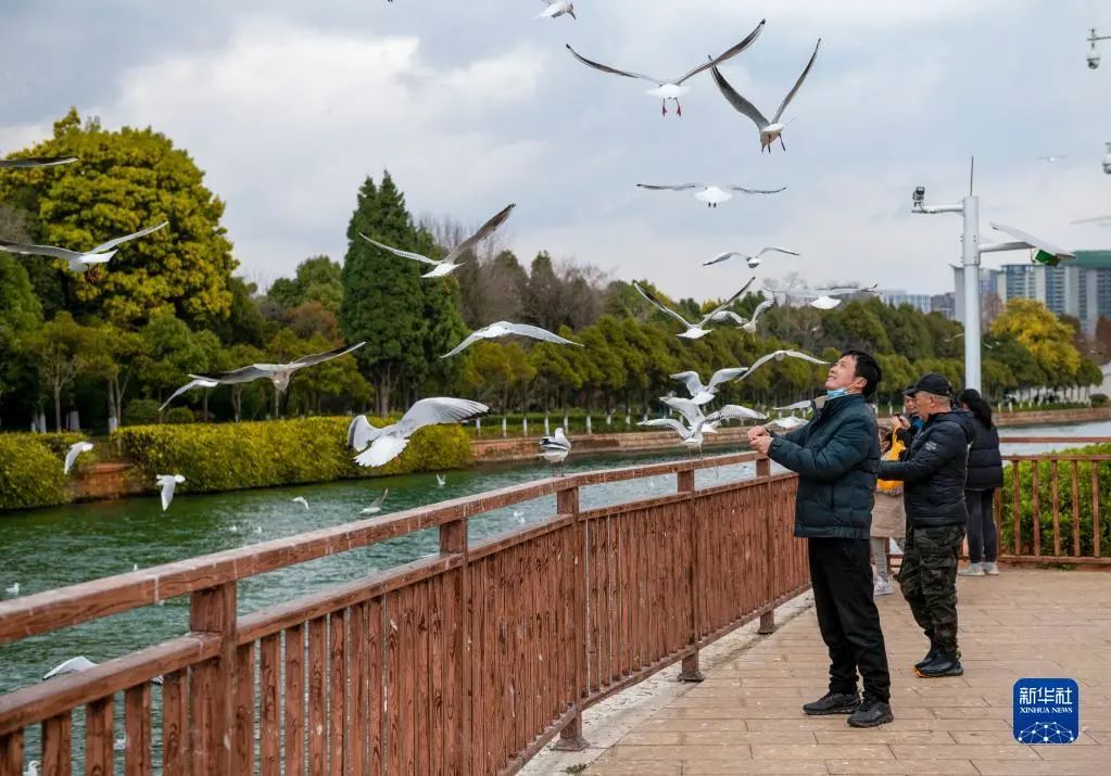 昆明滇池国家旅游度假区管理委员会(微信)