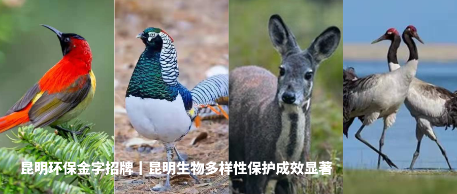 昆明生态环境