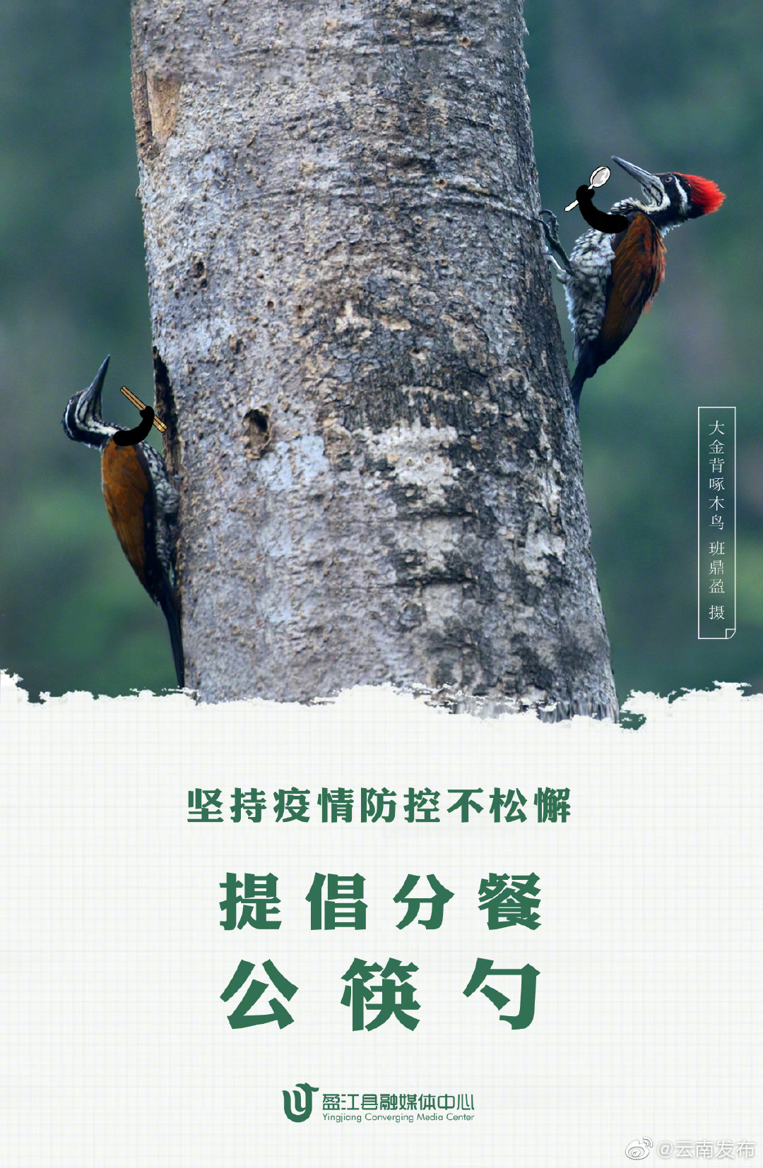 “云南发布”微博