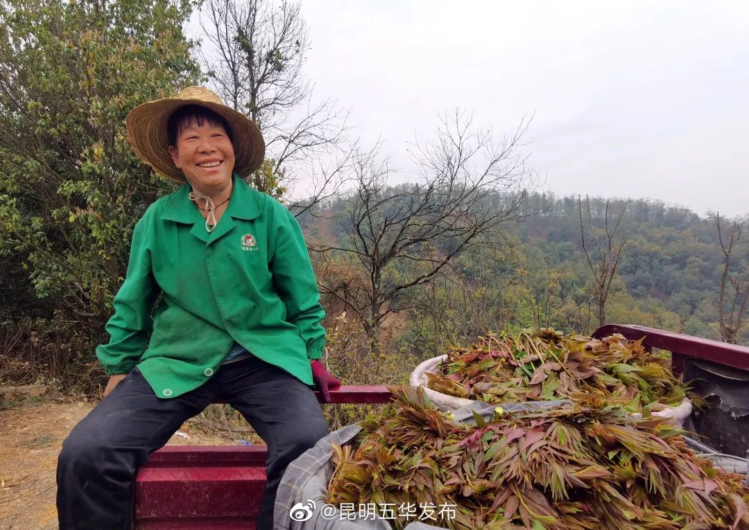 “昆明五华发布”微博