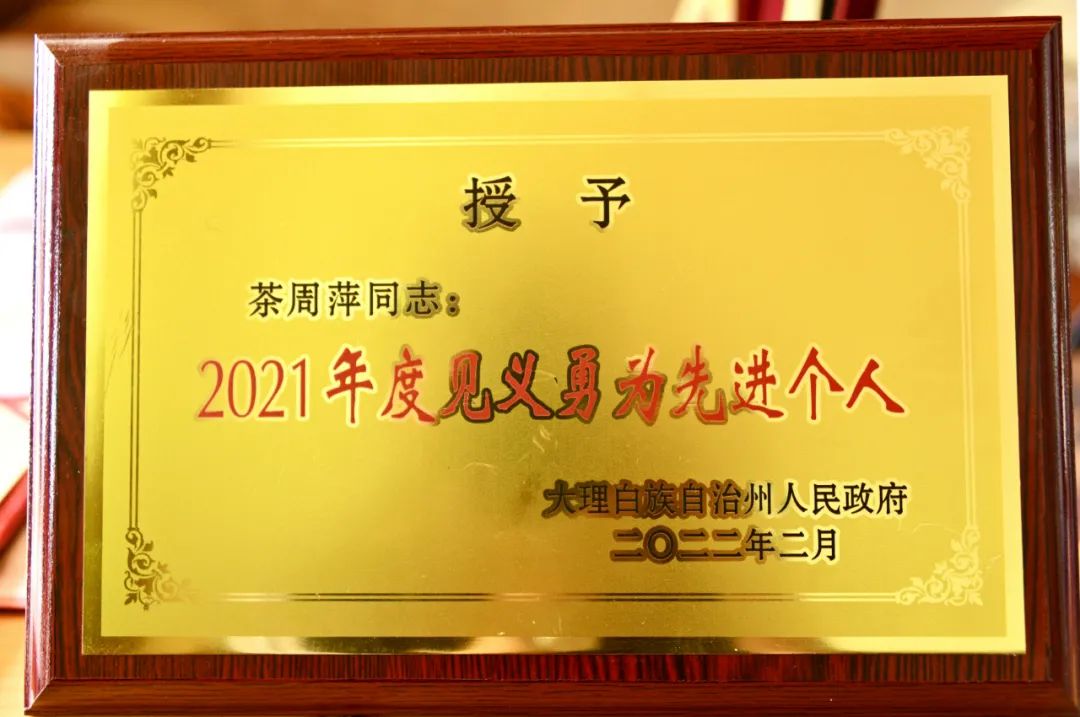 大理日报