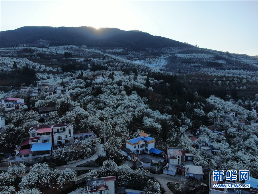 云南省文化和旅游厅