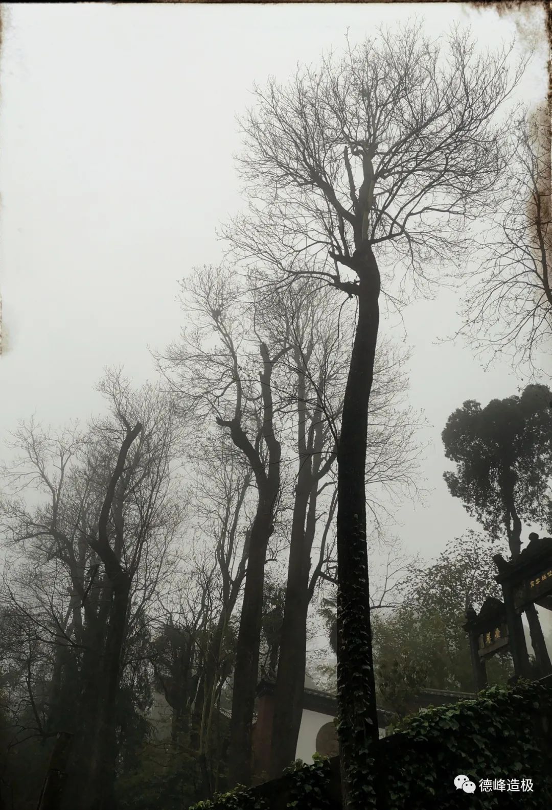 918云南交通台(微信)