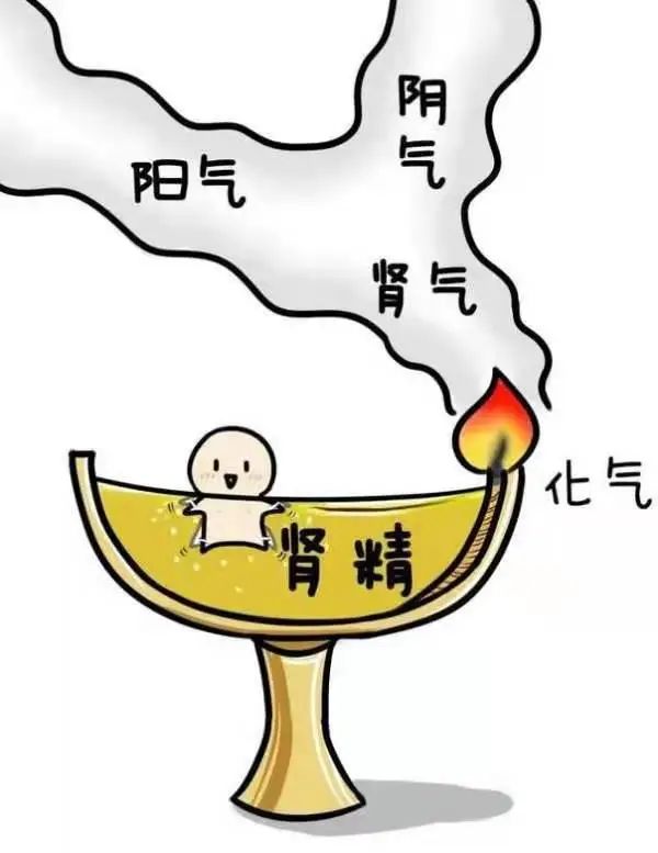 蒙自中医