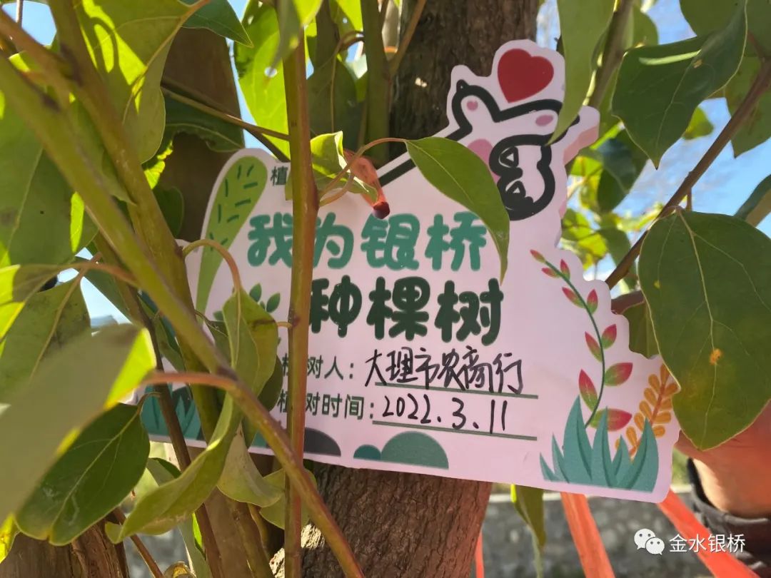 大理电视台