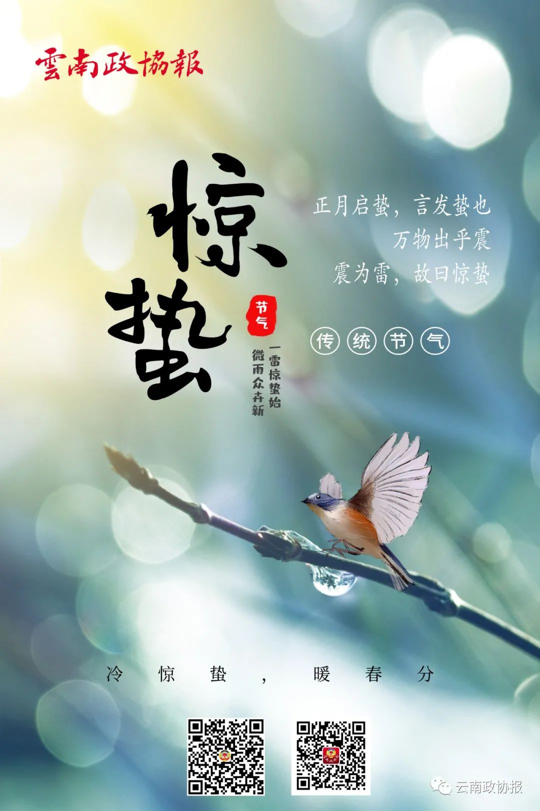 云南政协报