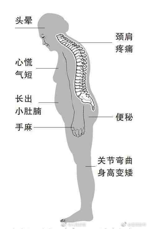 呈贡发布