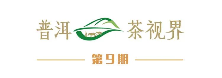 普洱日报