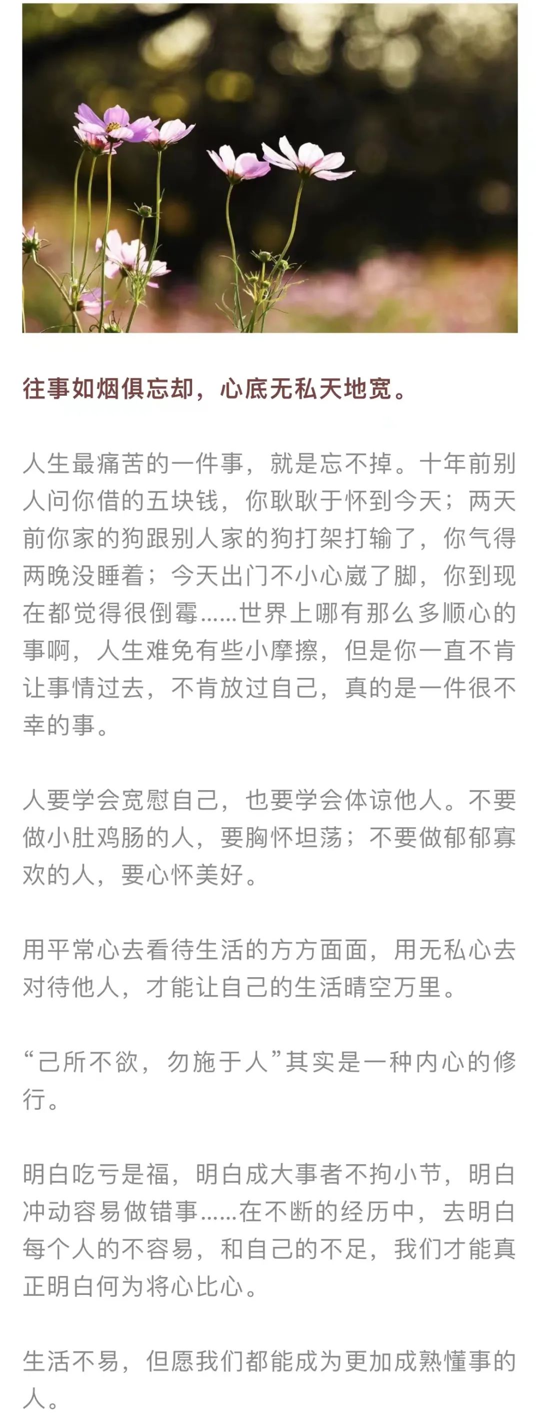 红色扎西