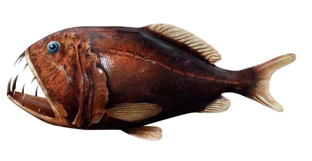 昆明信息港/cnkmxxg