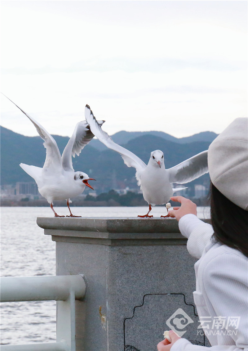 云南省文化和旅游厅