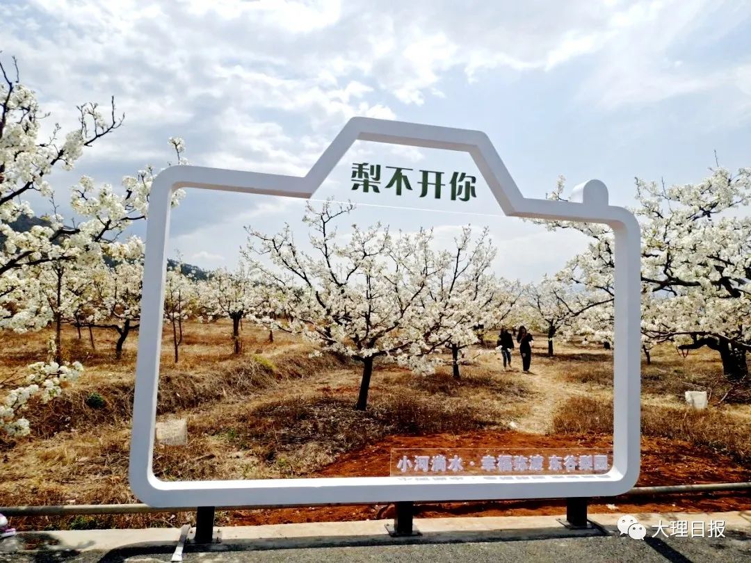 大理日报
