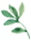 美丽云南微科普