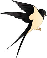 昆明信息港/cnkmxxg