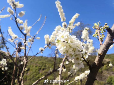 “昆明五华发布”微博