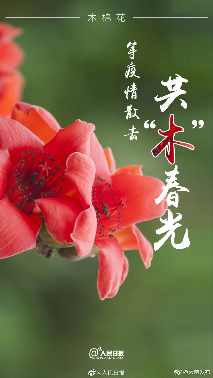 “云南发布”微博