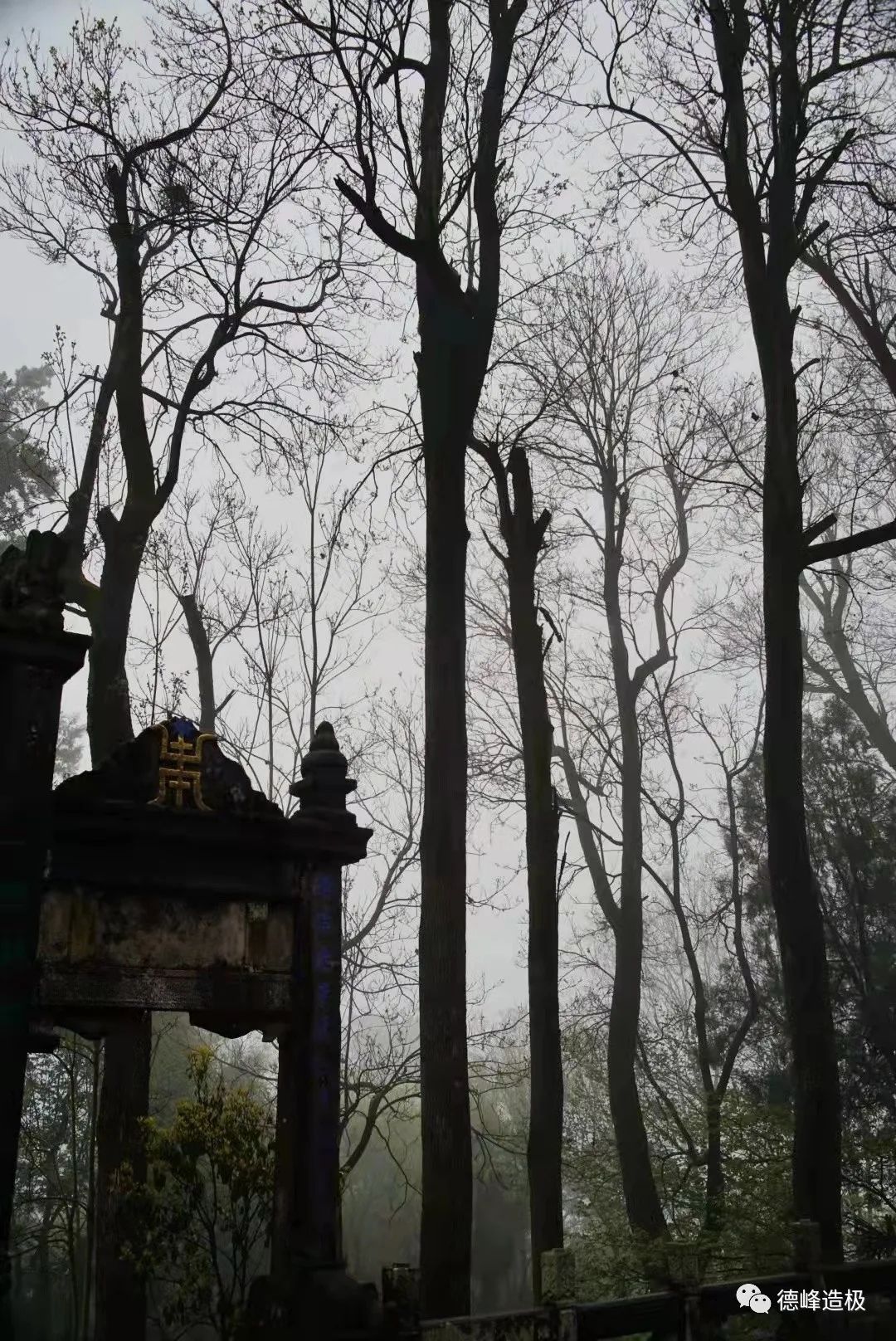 918云南交通台(微信)