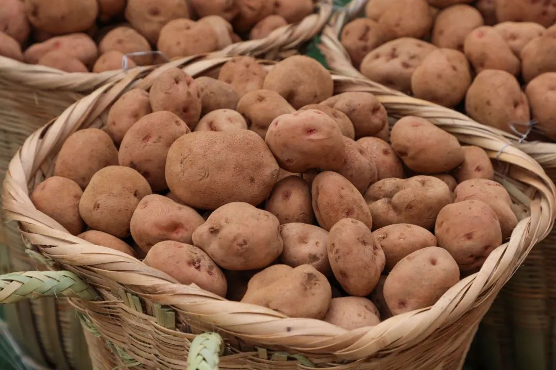 平安东川(微信)