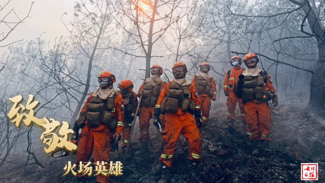 大理日报